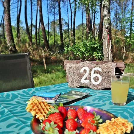 Tiny House Boho Ocean 샬레 *