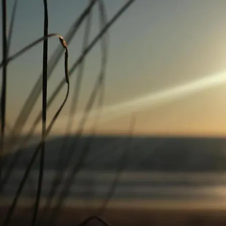 Шале Tiny House Boho Ocean Naujac-sur-Mer