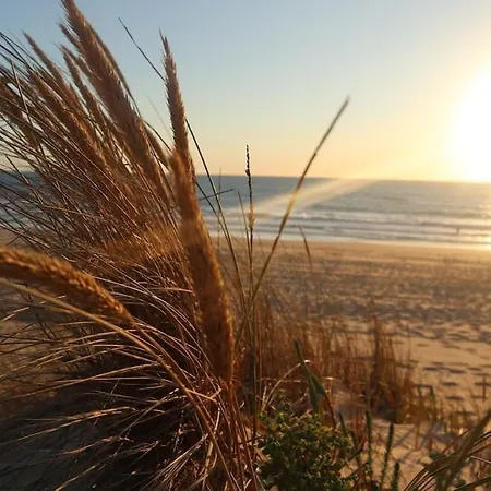 Chalet Tiny House Boho Ocean