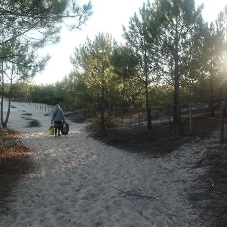 Chalet Tiny House Boho Ocean *