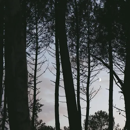 Σαλέ Tiny House Boho Ocean *