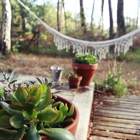 Σαλέ Tiny House Boho Ocean *