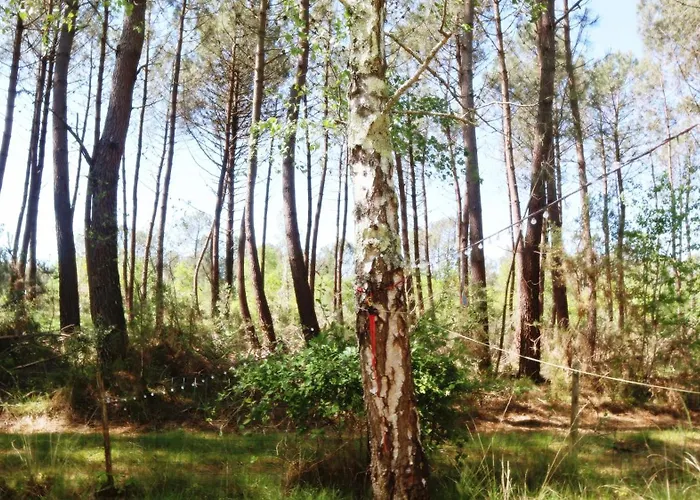 Tiny House Boho Ocean