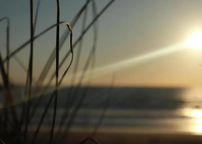 샬레 Tiny House Boho Ocean Naujac-sur-Mer