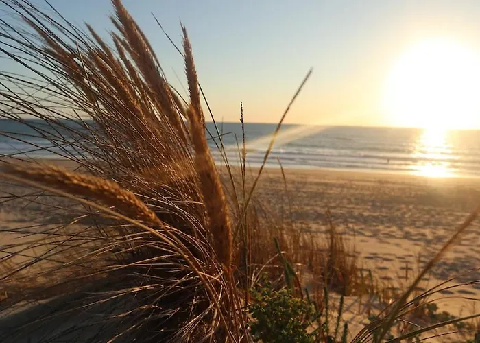 Σαλέ Tiny House Boho Ocean