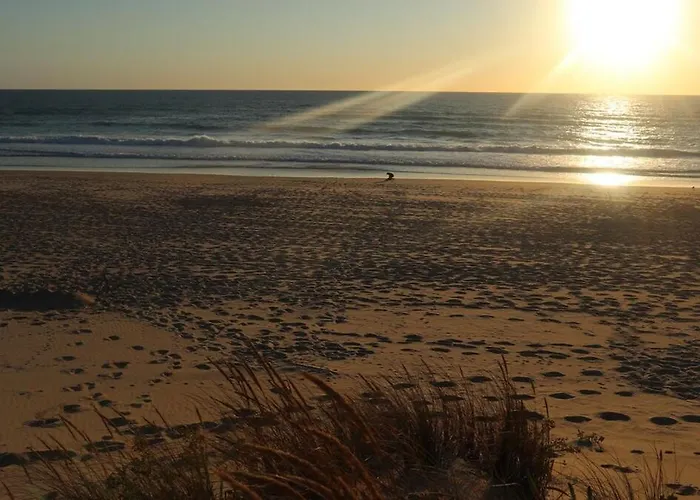 Tiny House Boho Ocean *