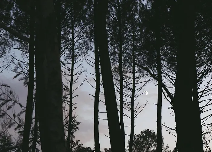 샬레 Tiny House Boho Ocean *